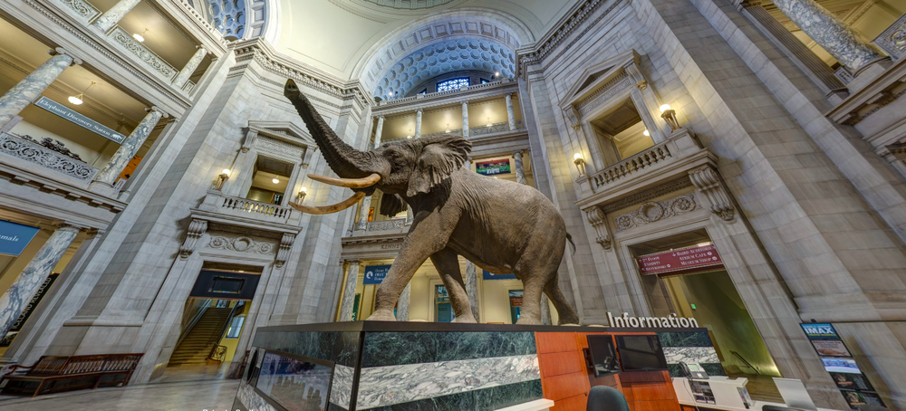 Recorrido Virtual Por El Museo Smithsonian De Historia Natural De