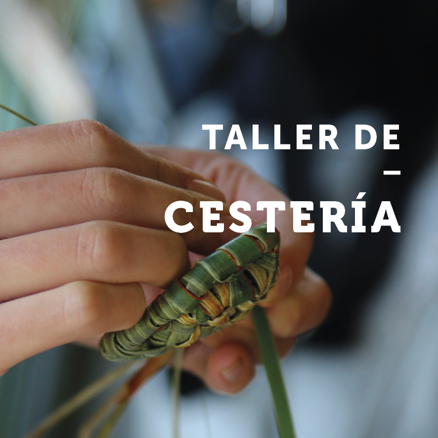 Afiche del evento "Taller cestería"