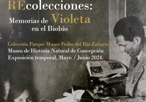 Afiche del evento "Recolecciones: Memorias de Violeta en el Biobío"