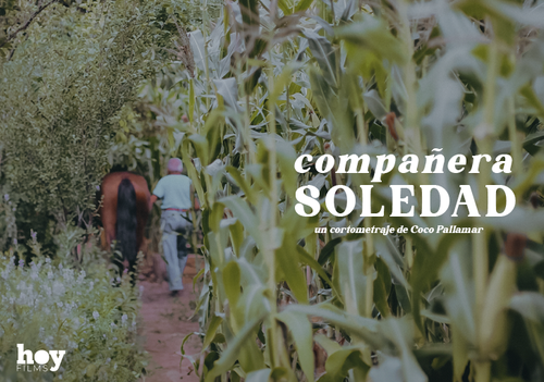 Afiche del evento "Estreno corto documental: Compañera Soledad"