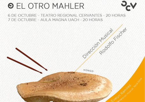 Afiche del evento "Concierto de Orquesta 7: El Otro Mahler | Aula Magna UACh"