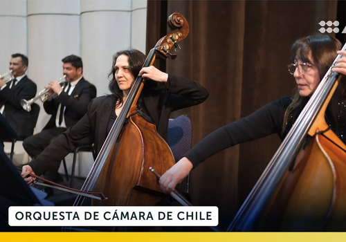 Afiche del evento "Rita, Orquesta de Cámara de Chile en Los Lagos"