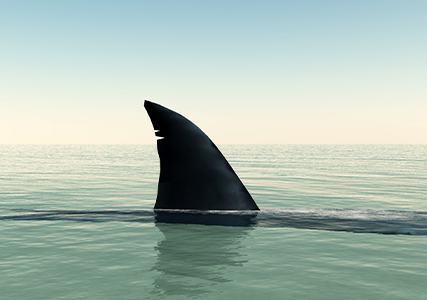 Afiche del evento "¡Tiburón a la vista en aguas de Antofagasta! Desmitificando a escuálidos y rayas del océano nortino"