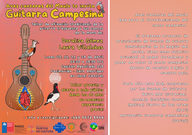 Afiche del evento "Taller de guitarra campesina"