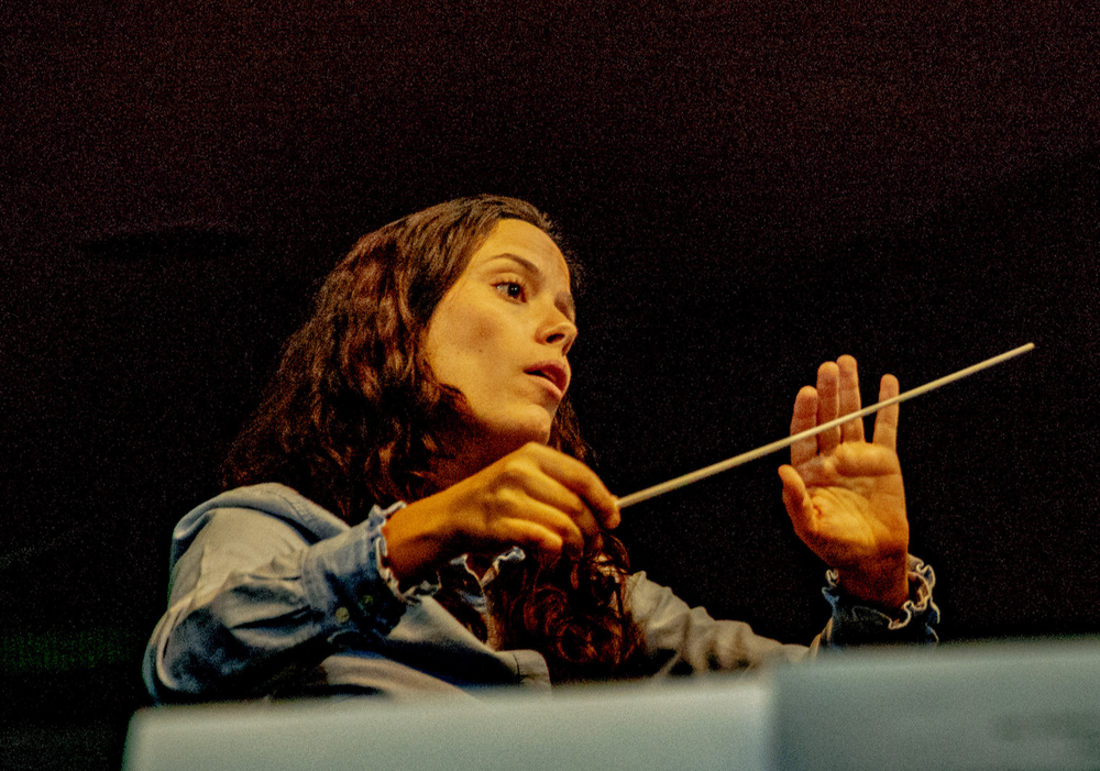 Afiche del evento "Orquesta de Cámara de Chile en Ñuñoa"