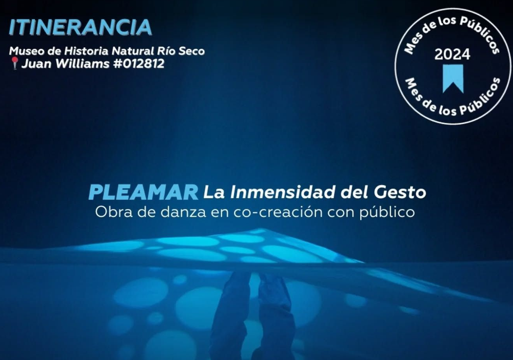 Afiche del evento "Pleamar, la inmensidad del gesto"