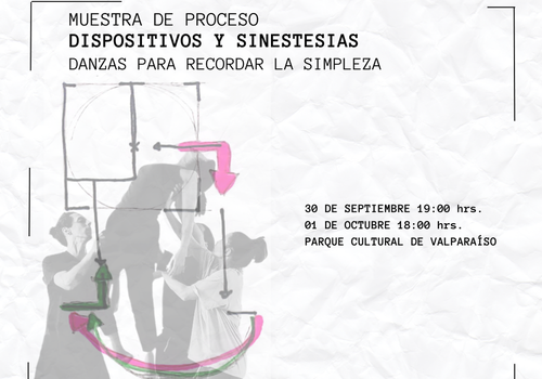 Afiche del evento "Dispositivos y Sinestesias: danzas para recordar la simpleza"