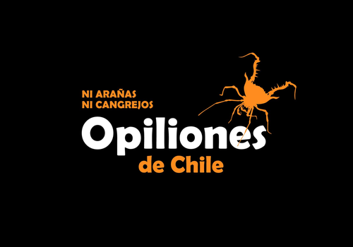 Afiche del evento "Exposición Opiliones de Chile: ni arañas ni cangrejos"