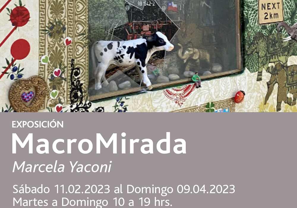 Afiche del evento "MacroMirada"