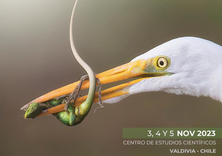 Afiche del evento "Primer Festival de Fotografía y Naturaleza Valdivia 2023"