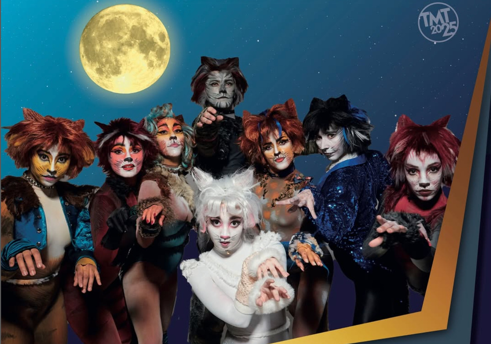 Afiche del evento "Cats, el musical"