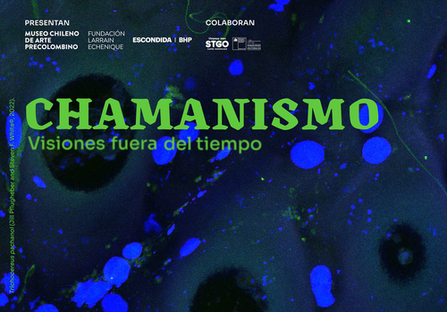 Afiche del evento "Chamanismo: Visiones fuera del tiempo"
