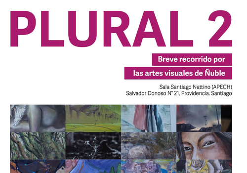 Afiche del evento "Plural 2 - Breve recorrido por las artes visuales del Ñuble"
