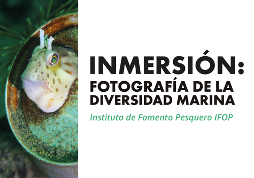 Afiche del evento "Inmersión: Fotografía de la diversidad marina"