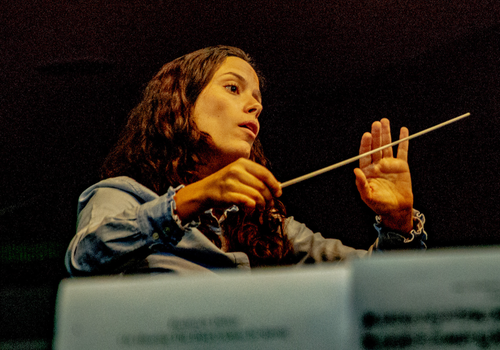 Afiche del evento "Orquesta de Cámara de Chile en Providencia"