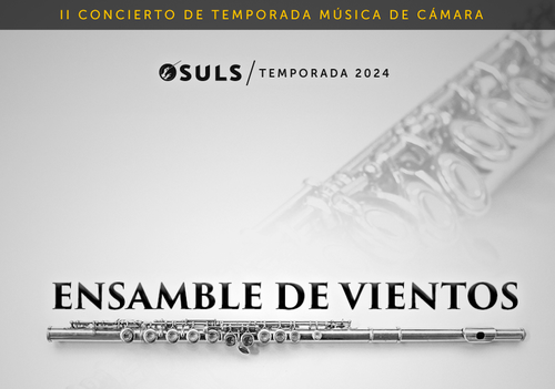 Afiche del evento "II Concierto Temporada Música de Cámara - Orquesta Sinfónica Universidad de La Serena"