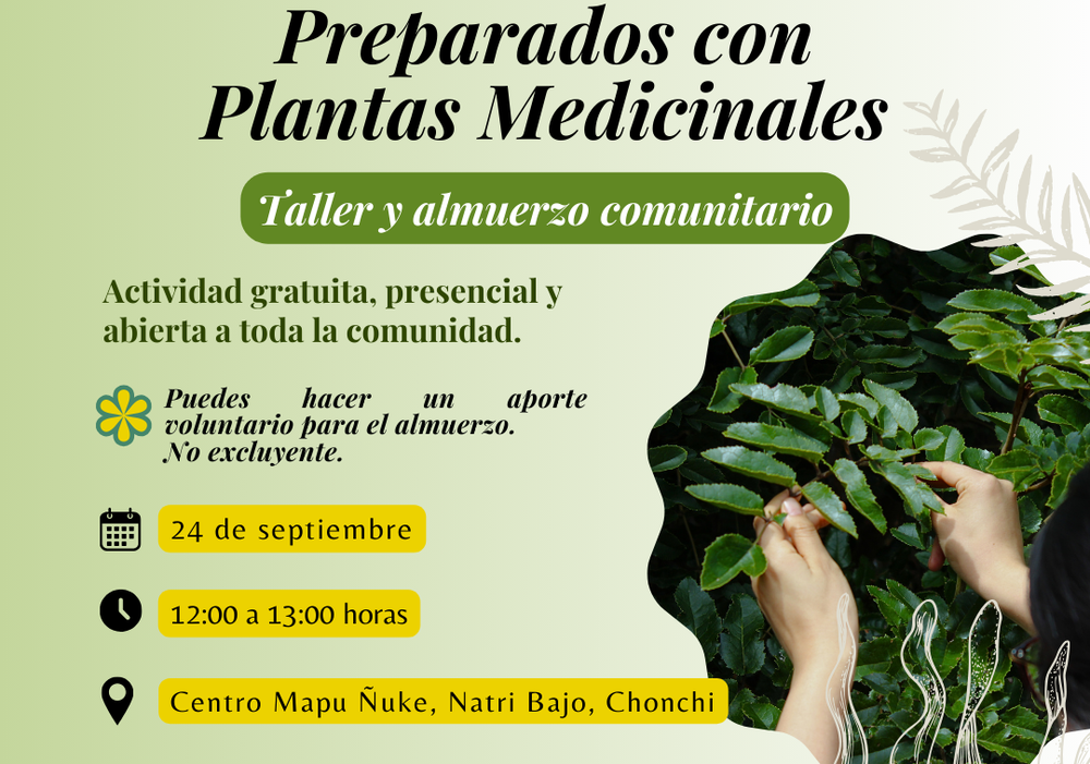 Afiche del evento "Taller de Preparados Medicinales"