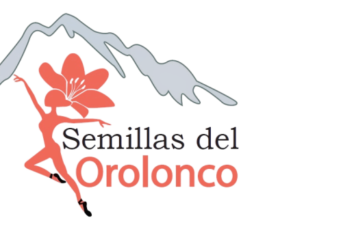Afiche del evento "DANZA EN EL TEATRO MUNICIPAL DE SAN FELIPE"