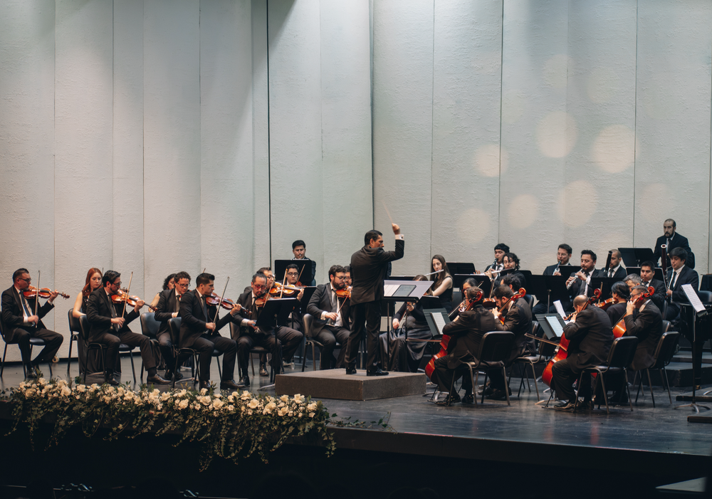 Afiche del evento "Concierto Familiar e inclusivo Orquesta Filarmónica de Temuco - Mes de los Públicos"