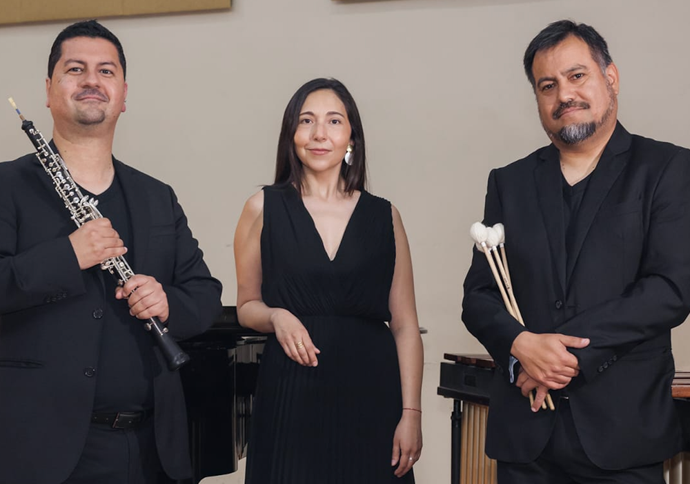 Afiche del evento "Lanzamiento de Disco Homentaje a Gabriela Mistral "Elogio a la Naturaleza". Ensamble Dibujos"