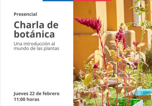Afiche del evento "Charla de Botánica: introducción al mundo de las plantas"