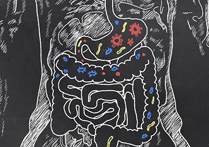Afiche del evento "El jardín interior. Explorando nuestras bacterias y microbios"