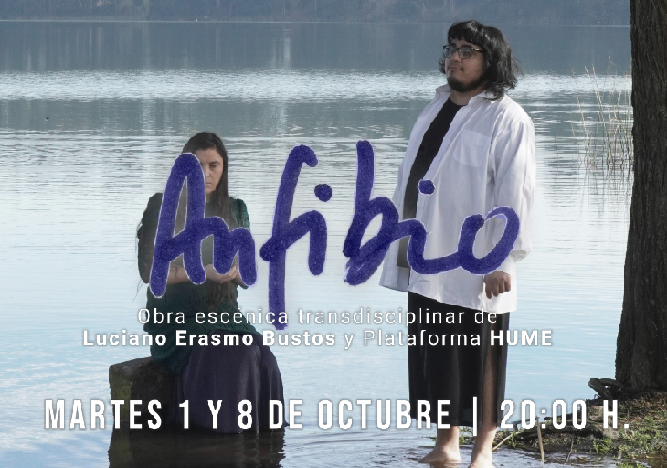 Afiche del evento "Anfibio"