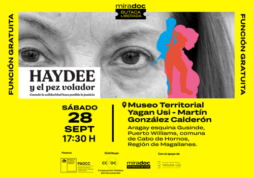 Afiche del evento "Función gratuita "Haydee y el pez volador""