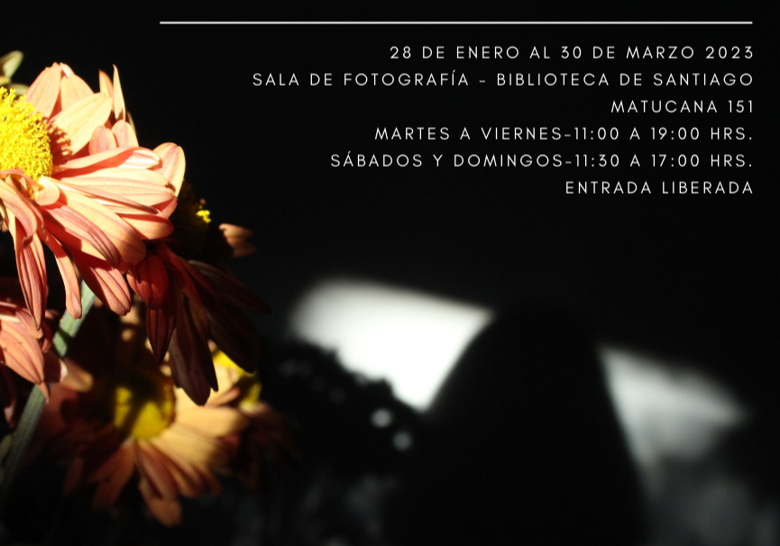 Afiche del evento "Exposición «Flores de luz y flores cortadas» de Florencia Rodríguez"