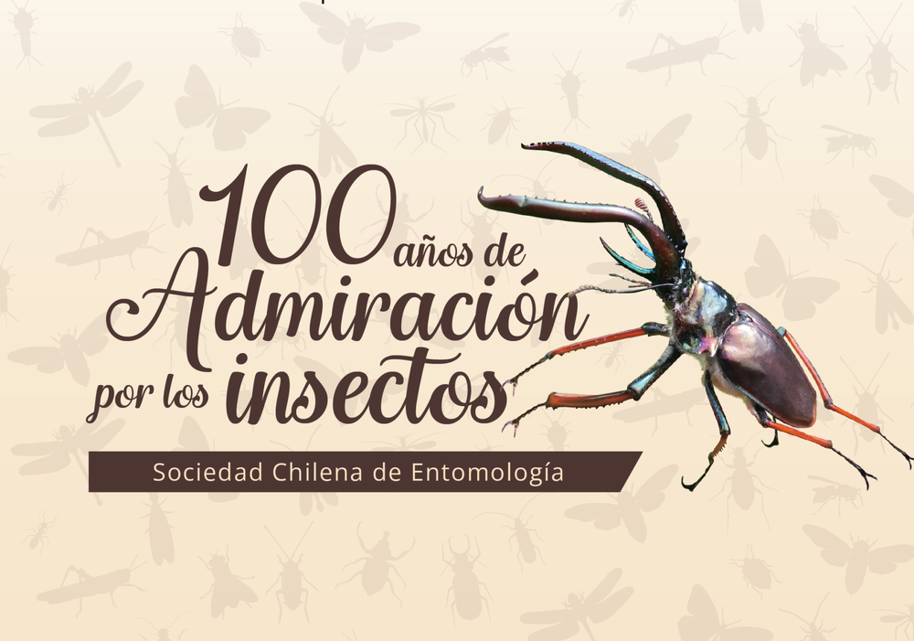 Afiche del evento "100 años de admiración por los insectos: Sociedad Chilena de Entomología"