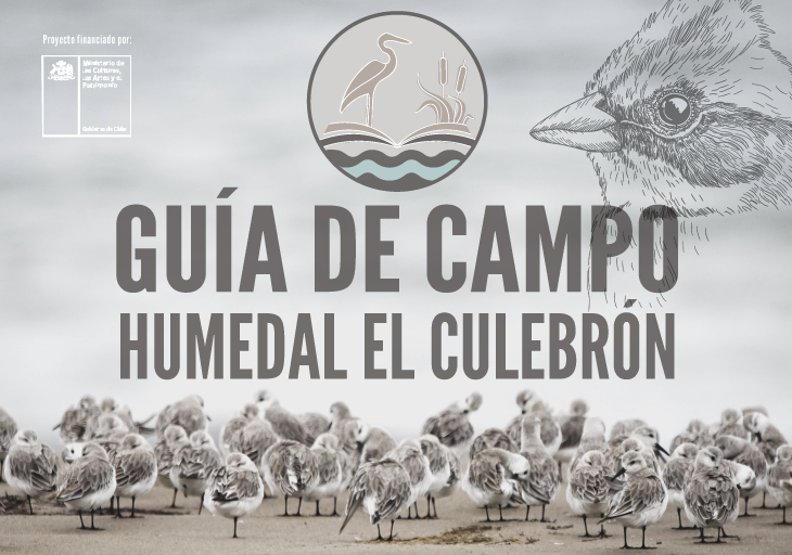Afiche del evento "Lanzamiento Oficial Guía de Campo Humedal El Culebrón, Coquimbo"