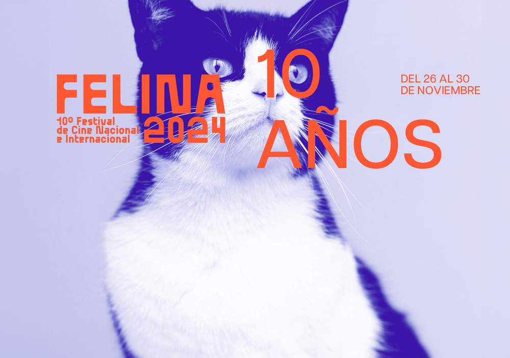 Afiche del evento "10° Festival Felina de Cine Nacional e Internacional"