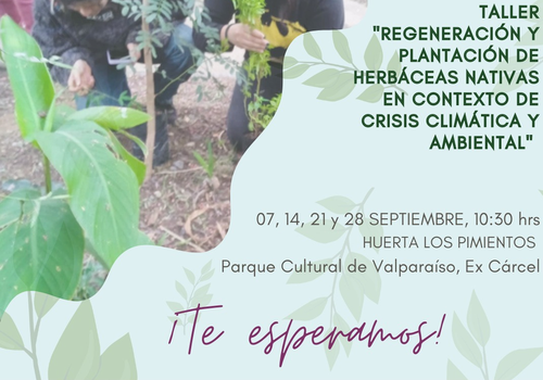 Afiche del evento "Taller de “Regeneración y plantación de herbáceas nativas en contexto de crisis climática y ambiental”"