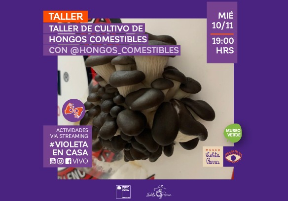 Afiche del evento "Taller de cultivo de hongos comestibles (Museo Verde)"
