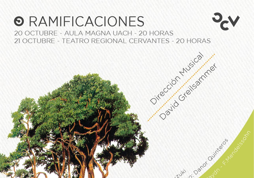 Afiche del evento "Concierto de Orquesta 8: Ramificaciones | Teatro Regional Cervantes"