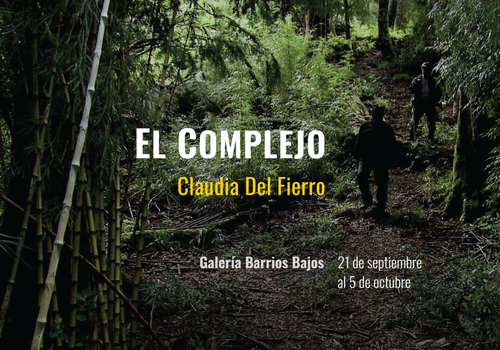 Afiche del evento "Exposición El Complejo"