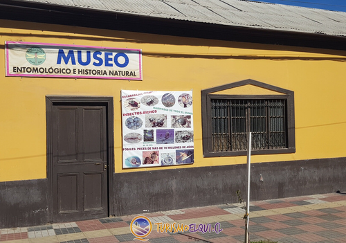 Afiche del evento "Museo Entomológico y de Historia Natural de Vicuña"