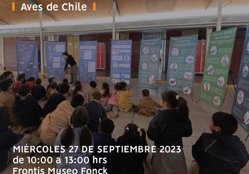 Afiche del evento "Exposición gráfica sobre “Aves de Chile” en Museo Fonck"